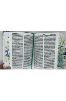 Image of Biblia RVR 1960 Bolsillo Turquesa Símil Piel