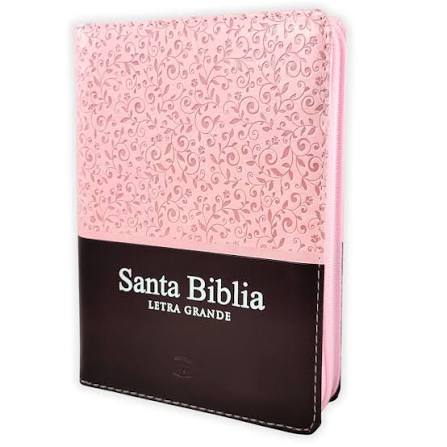 Image of Biblia RVR 1960 Tapa PU Rosa Marrón Quinceañera