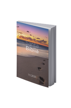 Biblia RVR 2020 Económica Playa Rústica