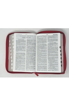 Image of Biblia RVR 1960 Letra Grande Tamaño Manual Tricolor Gris Crema Rojo con Cierre e Índice