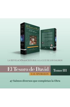 El Tesoro de David III