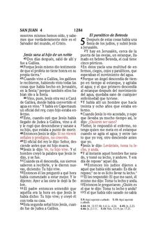 Biblia RVR 1960 Compacta Símil Piel Juvenil Mariposa Palo Rosa