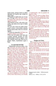 Biblia RVR 1960 Compacta Símil Piel Flores Azul Verde