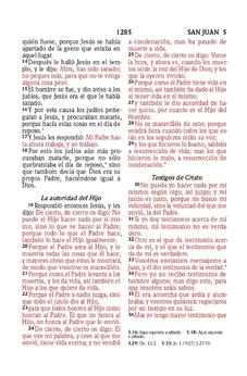 Image of Biblia RVR 1960 Compacta para Niños Animales Vinilo con Cierre