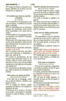 Biblia RVR 1960 Letra Grande Tamaño Manual Símil Piel Naranja Clara