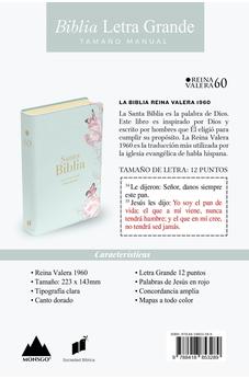Biblia RVR 1960 Letra Grande Tamaño Manual Símil Piel Salvia Claro