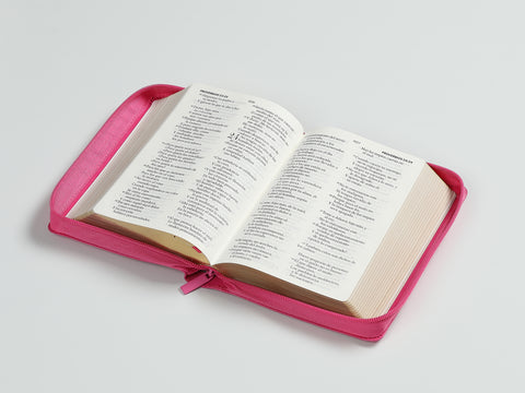 Image of Biblia RVR 1960 Letra Grande Compacta 11 Puntos Símil Piel Fucsia Cierre