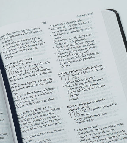 Image of Biblia RVR 1960 León de Juda Tamaño Manual Tapa Dura