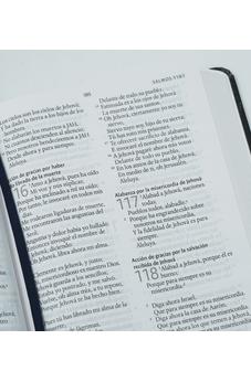 Image of Biblia RVR 1960 León de Juda Tamaño Manual Tapa Dura