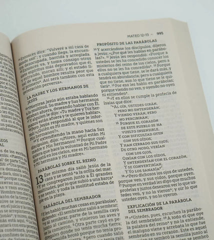 Image of Biblia NBLA Letra Grande Edición Económica