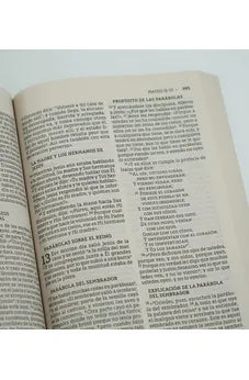 Image of Biblia NBLA Letra Grande Edición Económica