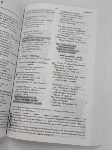 Image of Biblia RVR 1960 Pescador Rústica