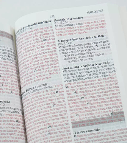 Image of Biblia RVR 1960 Promesas Rústica Vino