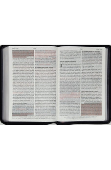 Image of Biblia RVR 1960 de Promesas Letra Gigante Negro Naranja Verde Símil Piel con Cierre