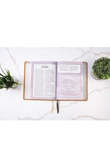 Biblia RVR 1960 Ilustrada Tierra Santa Café Símil Piel