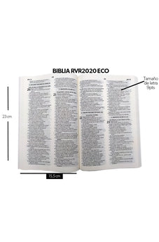 Image of Biblia RVR 2020 Económica Puerta