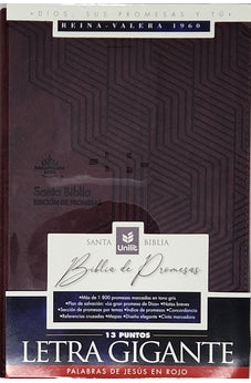 Image of Biblia RVR 1960 de Promesas Letra Gigante Marrón Líneas Símil Piel con Cierre