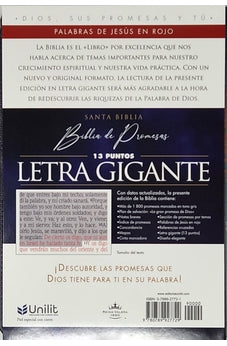 Image of Biblia RVR 1960 de Promesas Letra Gigante Negro Naranja Verde Símil Piel con Cierre