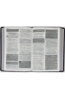 Image of Biblia RVR 1960 de Promesas Letra Gigante Negro Naranja Verde Símil Piel