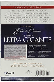 Image of Biblia RVR 1960 de Promesas Letra Gigante Colores Pintura Símil Piel