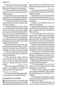 Biblia RVR 1960 Letra Súper Gigante Negro Piel Fabricada