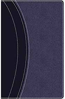 Image of Biblia NVI Manantiales en el Desierto Piel