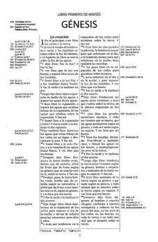 Image of Biblia RVR 1960 de Estudio Thompson Piel Duotono Gris