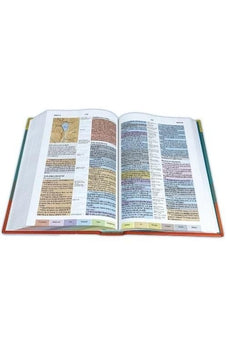 Biblia RVR 1960 de Estudio Arco Iris Multicolor Tapa Dura