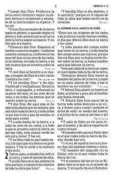 Biblia RVR 1960 Letra Grande Tamaño Manual Piel Marrón