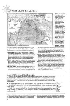 Biblia RVR 1960 de Estudio Diario Vivir Vino Tinto Tapa Dura