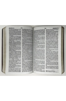 Image of Biblia RVR 1960 Letra Grande Tamaño Manual Marrón Café
