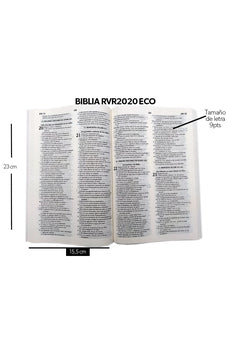 Image of Biblia RVR 2020 Economica Pizarra