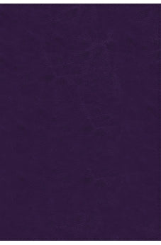 Biblia RVR 1977 Referencia Thompson Piel Azul