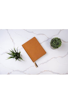 Biblia RVR 1960 Ilustrada de la Tierra Santa Marrón Símil Piel con Índice