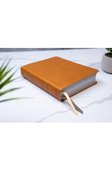 Biblia RVR 1960 Ilustrada de la Tierra Santa Marrón Símil Piel con Índice