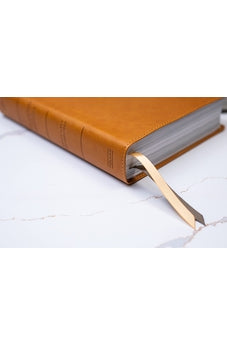 Biblia RVR 1960 Ilustrada Tierra Santa Café Símil Piel