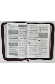 Image of Biblia RVR 1960 de Promesas Letra Gigante Marrón Líneas Símil Piel con Cierre