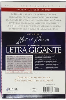 Image of Biblia RVR 1960 de Promesas Letra Gigante Lila Hojas Símil Piel con Cierre