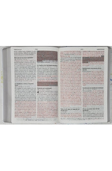Image of Biblia RVR 1960 de Promesas Letra Gigante Colores Pintura Símil Piel
