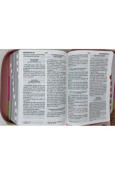 Image of Biblia RVR 1960 Letra Grande Compacta 11 puntos Tricolor Rosa Lima Fucsia Símil Piel con Índice con Cierre