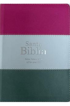 Biblia RVR 1960 Compacta Letra Grande 11 puntos Símil Piel Magenta Verde Glacial Verde Grisaceo con Cierre y Índice