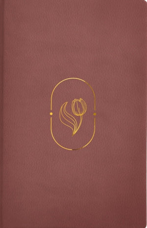 Biblia RVR 1960 de Promesas Devocional Virtuosa Letra Gigante Piel Especial Rosa