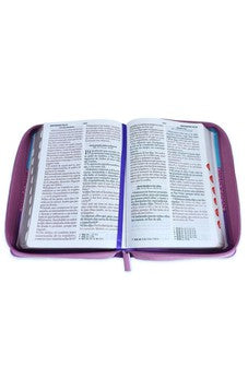 Image of Biblia RVR 1960 Letra Grande Compacta 11 puntos Tricolor Azul Rosa Lila Símil Piel con Índice con Cierre