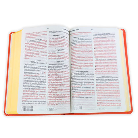 Image of Biblia RVR 1960 Tamaño Manual Letra Grande 12 pt SÍmil Piel Lila Morado con Cierre Bitono
