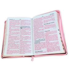 Image of Biblia RVR 1960 Tapa PU Rosa Marrón Quinceañera