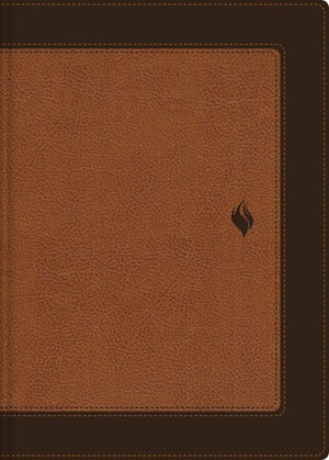 Biblia RVR 1960 de Estudio de la Vida Plena Piel dos Tonos Café
