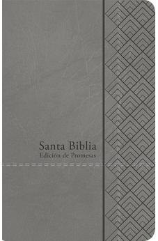 Biblia RVR 1960 Letra Grande Tamaño Manual Gris Símil Piel