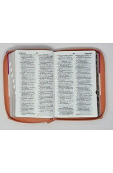 Biblia RVR 1960 Letra Grande Tamaño Manual Tricolor Guinda Crema Melón con Cierre con Índice
