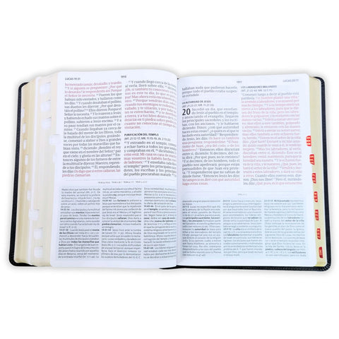 Image of Biblia RVR 1960 de Estudio Letra Gigante Negro Símil Piel Índice