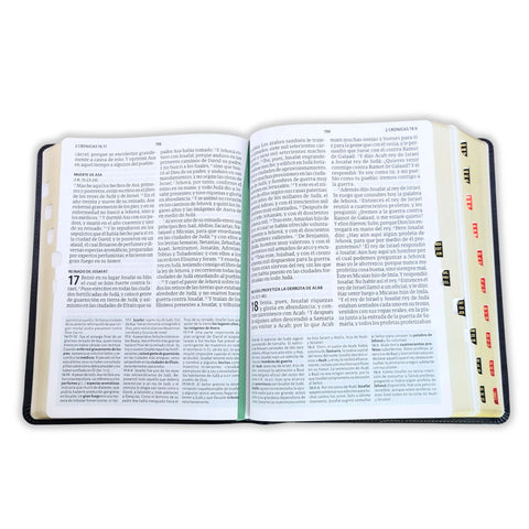 Image of Biblia RVR 1960 de Estudio Letra Gigante Negro Símil Piel Índice